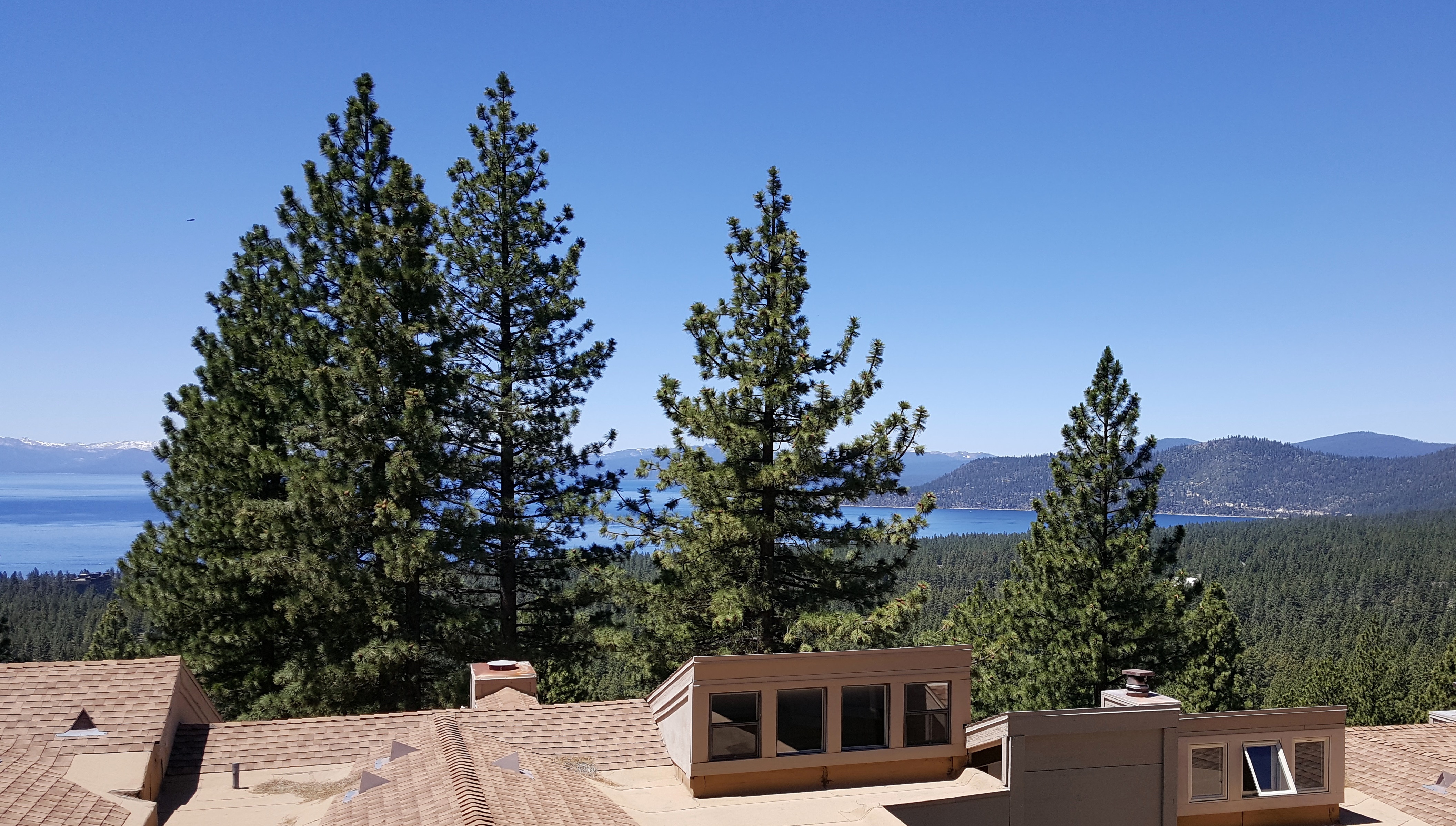 Lake Tahoe sunset from Bitterbrush